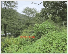  2025Ÿ��165 �泲 ��õ�� �߷θ� û�踮 119      ���(�󰡽ü�)���