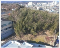  2025Ÿ189 泲 Ծ籺 Ծ  972-5      (Ӿ)