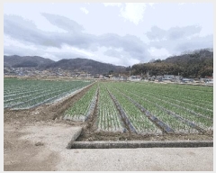  2025Ÿ��240 �泲 ��õ�� �߷θ� ������ 212      ����(��)���