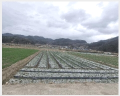  2025Ÿ��240 �泲 ��õ�� �߷θ� ������ 212      ����(��)���