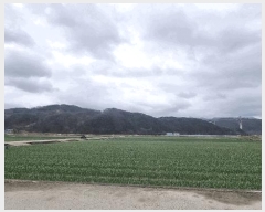  2025Ÿ��240 �泲 ��õ�� �߷θ� ������ 212      ����(��)���