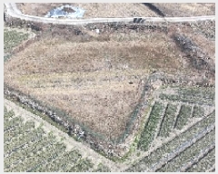  2025Ÿ��240 �泲 ��õ�� �߷θ� ������ 212      ����(��)���