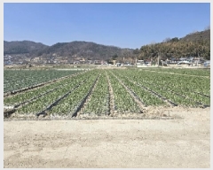  2025Ÿ��240 �泲 ��õ�� �߷θ� ������ 212      ����(��)���