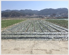  2025Ÿ��240 �泲 ��õ�� �߷θ� ������ 212      ����(��)���