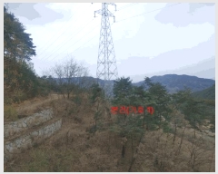  2025Ÿ��325 �泲 �Ծ籺 ���Ǹ� Ȳ� ��28-2      ����(�Ӿ�)���