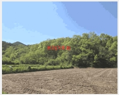  2025Ÿ��387 �泲 ��â�� ���ϸ� ���긮 ��206      ����(�Ӿ�)���