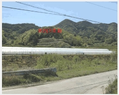  2025Ÿ��387 �泲 ��â�� ���ϸ� ���긮 ��206      ����(�Ӿ�)���