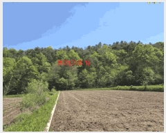  2025Ÿ��387 �泲 ��â�� ���ϸ� ���긮 ��206      ����(�Ӿ�)���