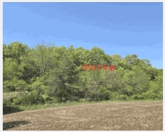  2025Ÿ��387 �泲 ��â�� ���ϸ� ���긮 ��206      ����(�Ӿ�)���