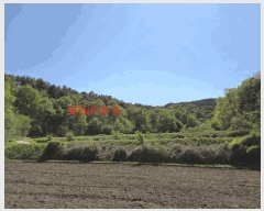  2025Ÿ��387 �泲 ��â�� ���ϸ� ���긮 ��206      ����(�Ӿ�)���