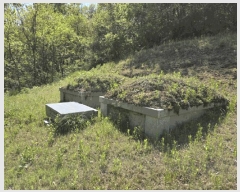  2025Ÿ��387 �泲 ��â�� ���ϸ� ���긮 ��206      ����(�Ӿ�)���