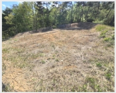  2025Ÿ��387 �泲 ��â�� ���ϸ� ���긮 ��206      ����(�Ӿ�)���