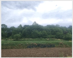  2025Ÿ��424 �泲 �Ծ籺 �Ծ��� �װ ��64      ����(�Ӿ�)���