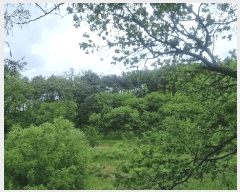  2025Ÿ��424 �泲 �Ծ籺 �Ծ��� �װ ��64      ����(�Ӿ�)���