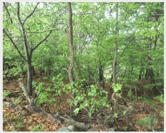  2025Ÿ��424 �泲 �Ծ籺 �Ծ��� �װ ��64      ����(�Ӿ�)���