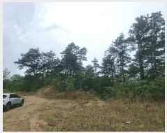  2025Ÿ��424 �泲 �Ծ籺 �Ծ��� �װ ��64      ����(�Ӿ�)���