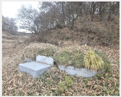  2025Ÿ��424 �泲 �Ծ籺 �Ծ��� �װ ��64      ����(�Ӿ�)���