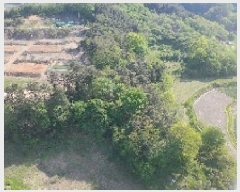  2025Ÿ��424 �泲 �Ծ籺 �Ծ��� �װ ��64      ����(�Ӿ�)���