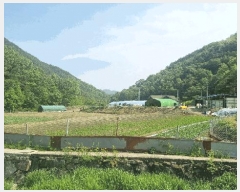  2025Ÿ��448 �泲 ��õ�� �߷θ� û�踮 387      ����(��)���