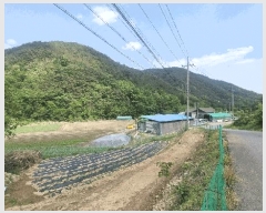  2025Ÿ��448 �泲 ��õ�� �߷θ� û�踮 387      ����(��)���