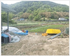  2025Ÿ��448 �泲 ��õ�� �߷θ� û�踮 387      ����(��)���