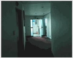  2025Ÿ10025 泲 õ û  588-7      ڽü,,ȣ,