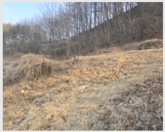  2025Ÿ10063 泲 â ϸ  250      (1)