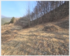  2025Ÿ10063 泲 â ϸ  250      (1)