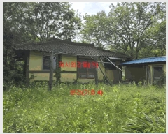  2025Ÿ��10087  â�����