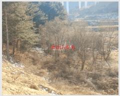  2025Ÿ10100 泲 õ ߸ û 523-2      ()