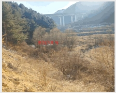  2025Ÿ10100 泲 õ ߸ û 523-2      ()