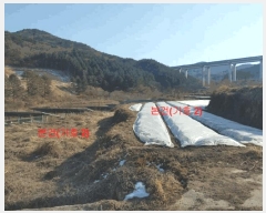  2025Ÿ10100 泲 õ ߸ û 523-2      ()