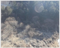  2025Ÿ10100 泲 õ ߸ û 523-2      ()