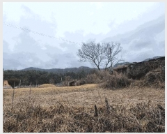  2025Ÿ��10158 �泲 ��â�� ����� ��긮 605      ����(����)���