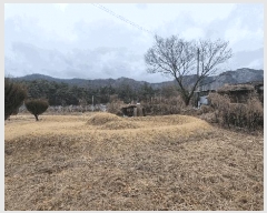  2025Ÿ��10158 �泲 ��â�� ����� ��긮 605      ����(����)���