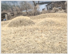  2025Ÿ��10158 �泲 ��â�� ����� ��긮 605      ����(����)���