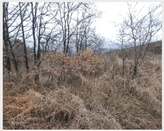  2025Ÿ��10158 �泲 ��â�� ����� ��긮 605      ����(����)���