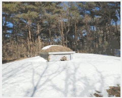  2025Ÿ10160 泲 Ծ籺  󳲸 112      (Ӿ)