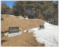  2025Ÿ10160 泲 Ծ籺  󳲸 112      (Ӿ)