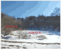  2025Ÿ10160 泲 Ծ籺  󳲸 112      (Ӿ)