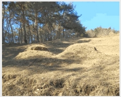  2025Ÿ10160 泲 Ծ籺  󳲸 112      (Ӿ)