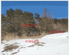  2025Ÿ10160 泲 Ծ籺  󳲸 112      (Ӿ)