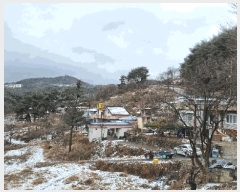  2025Ÿ10162 泲 õ ߸ Ȳ긮 11-4      (Ӿ)