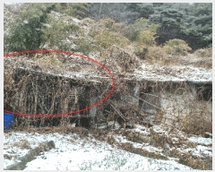  2025Ÿ10162 泲 õ ߸ Ȳ긮 11-4      (Ӿ)