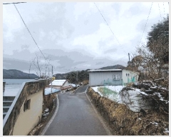  2025Ÿ10162 泲 õ ߸ Ȳ긮 11-4      (Ӿ)