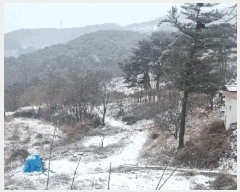  2025Ÿ10162 泲 õ ߸ Ȳ긮 11-4      (Ӿ)