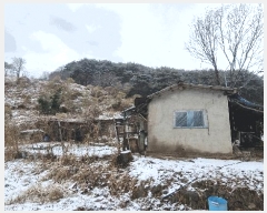  2025Ÿ10162 泲 õ ߸ Ȳ긮 11-4      (Ӿ)