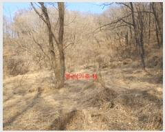  2025Ÿ��10170  �����