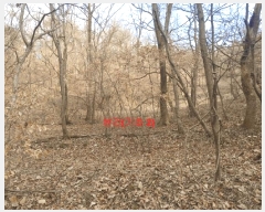  2025Ÿ��10170  �����