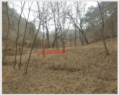  2025Ÿ��10170  ���(�󰡽ü�)���